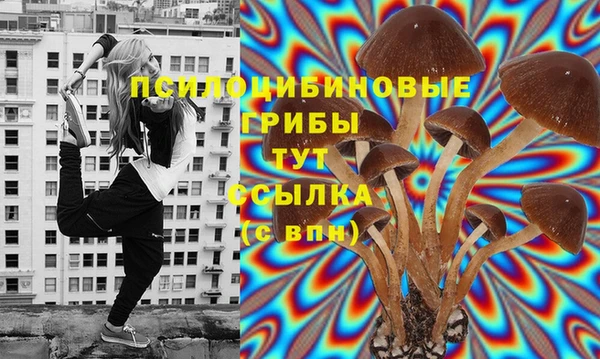 прущие крисы Киренск