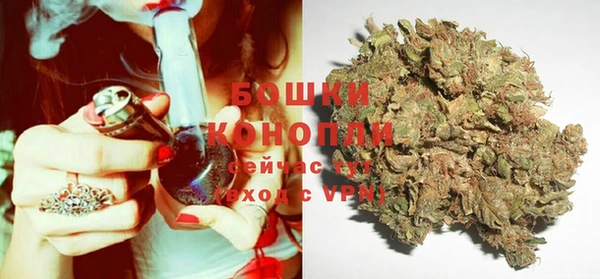 прущие крисы Киренск