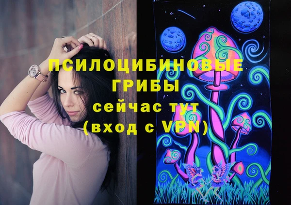 прущие крисы Киренск