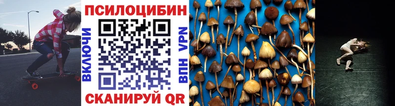 блэк спрут маркетплейс  Первоуральск  Псилоцибиновые грибы GOLDEN TEACHER 